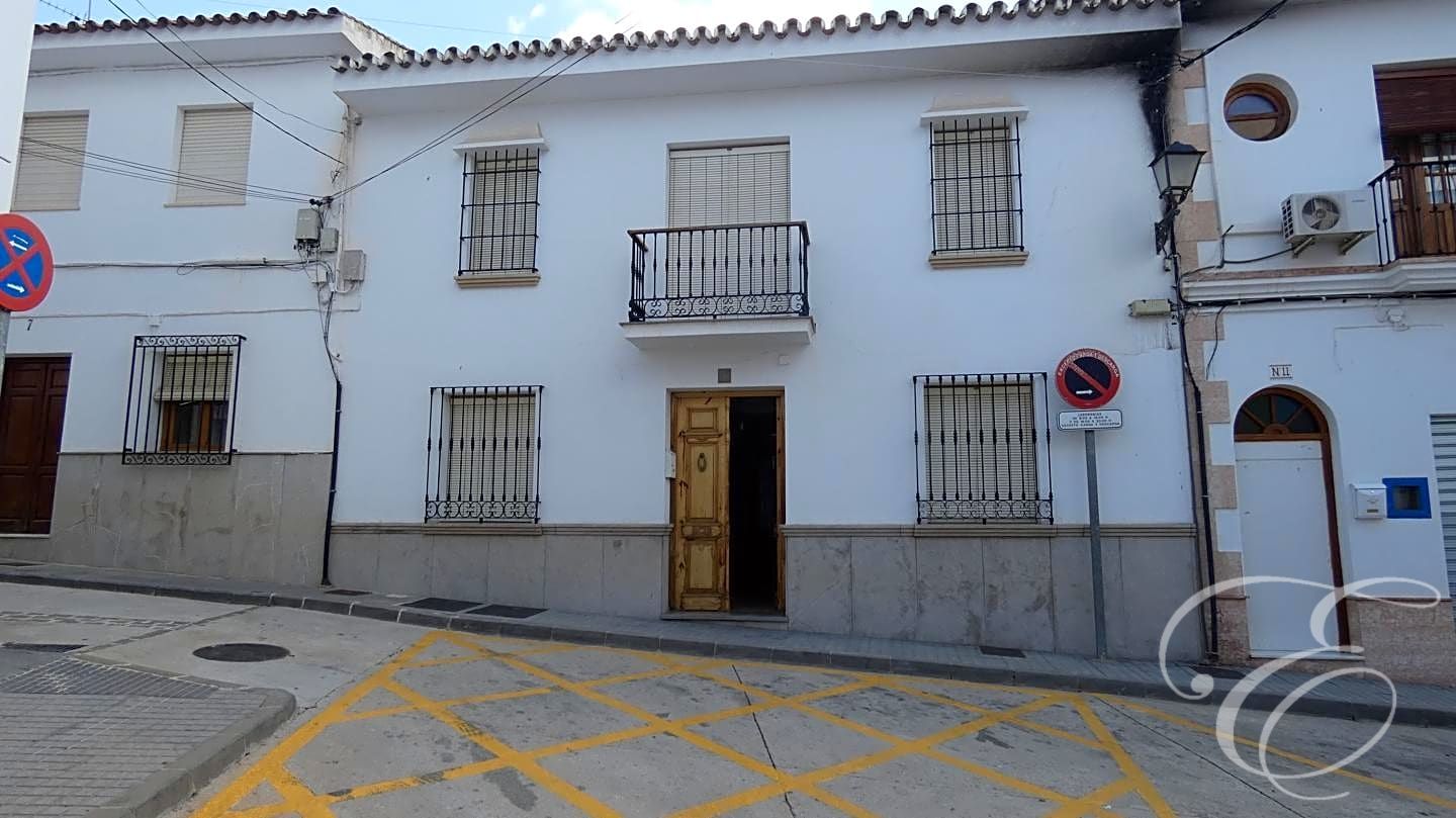 House in Malaga - view 1