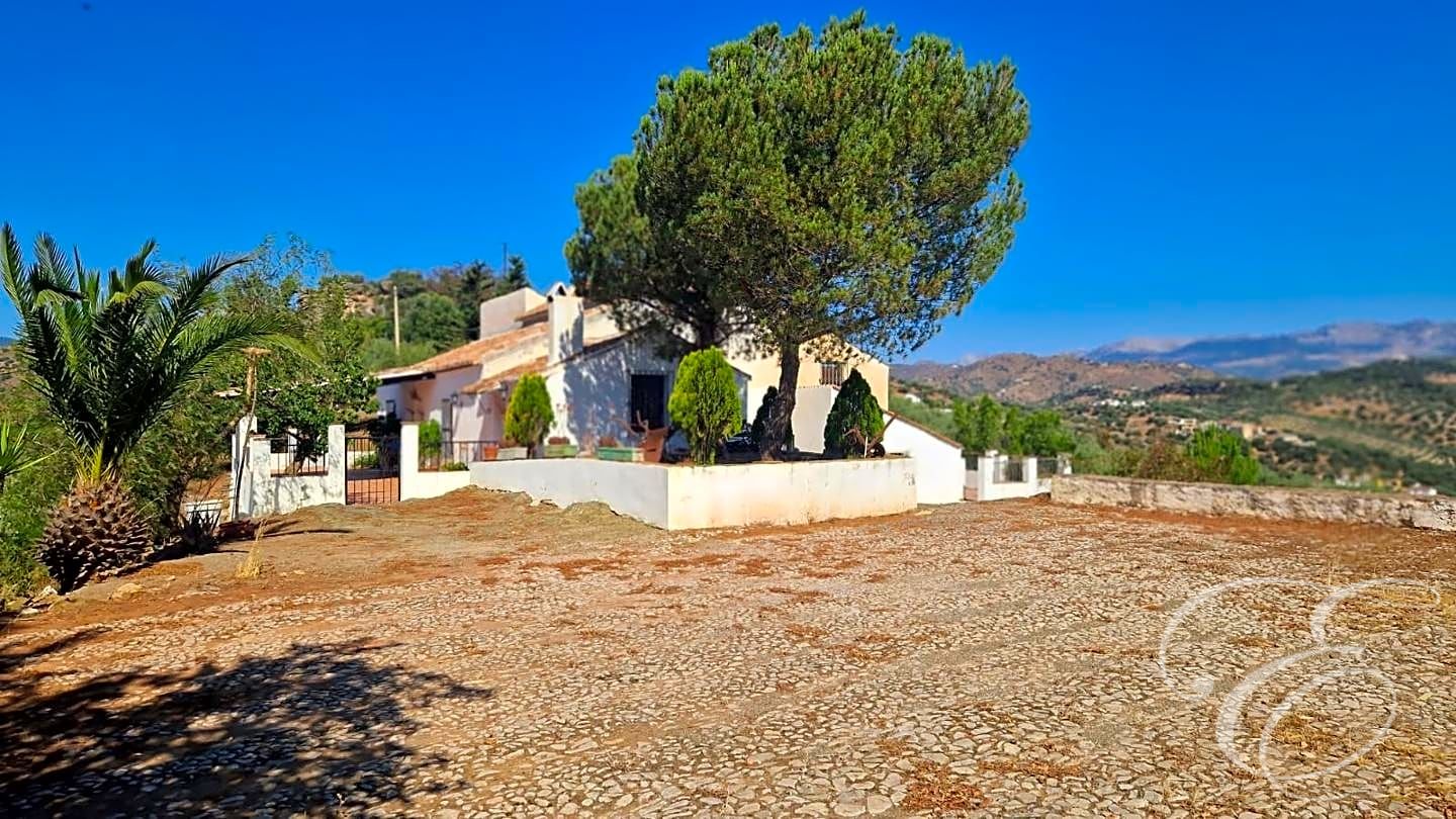House in Malaga - view 1