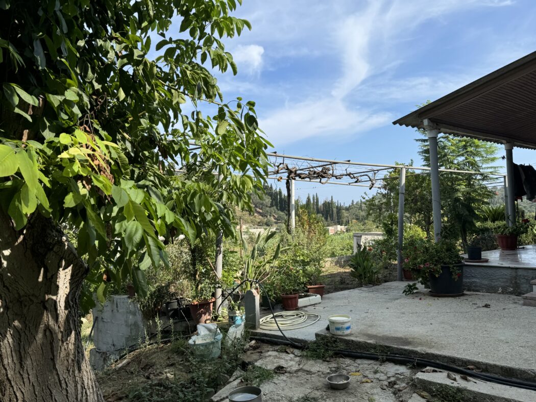 Farm, Ranch or Equestrian in Sidari - view 1