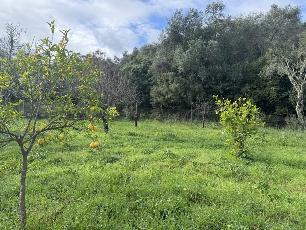 Land in Kassiopi - view 1