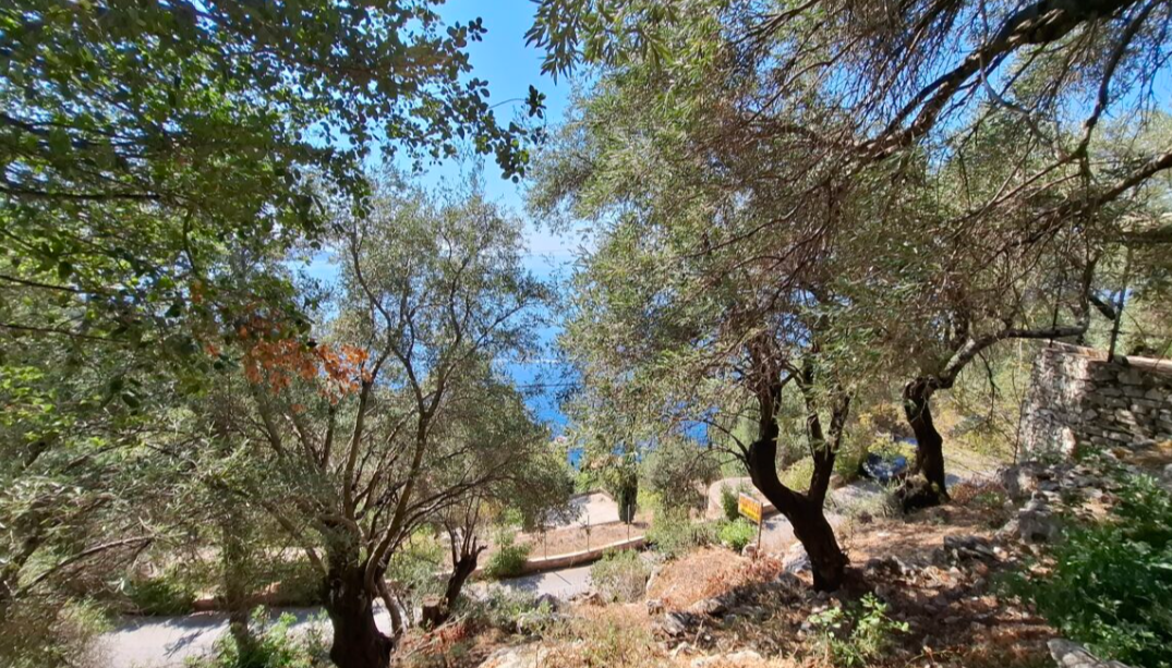 Land in Corfu - view 1
