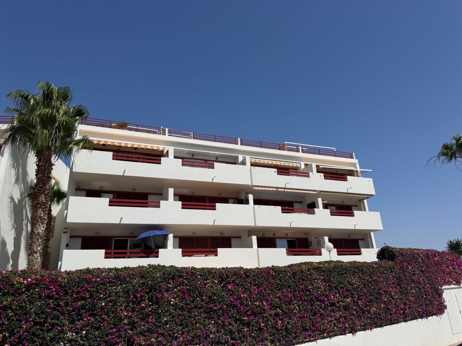 Apartment in Playa Flamenca - view 1
