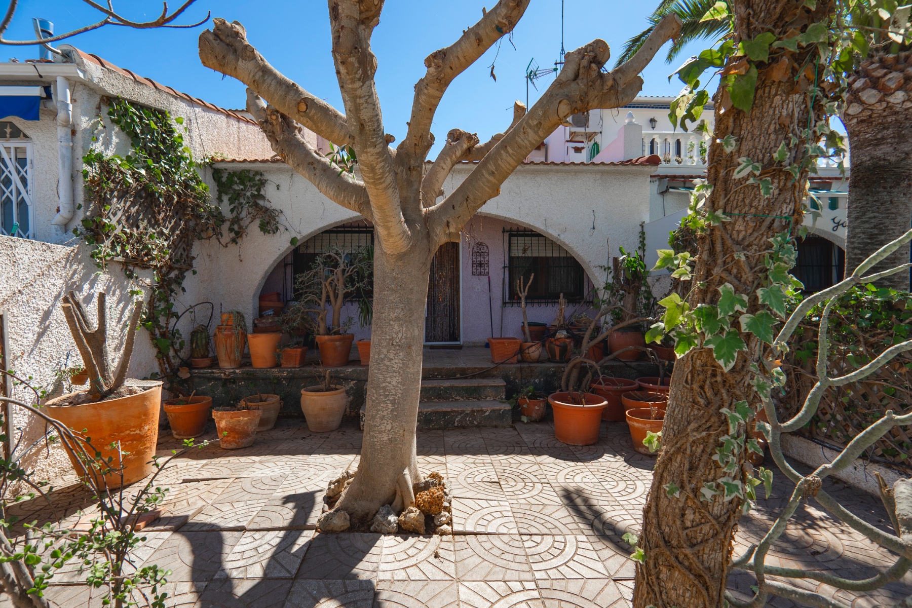 House in Ciudad Quesada - view 1
