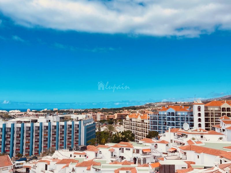 Apartment in Arona - view 1
