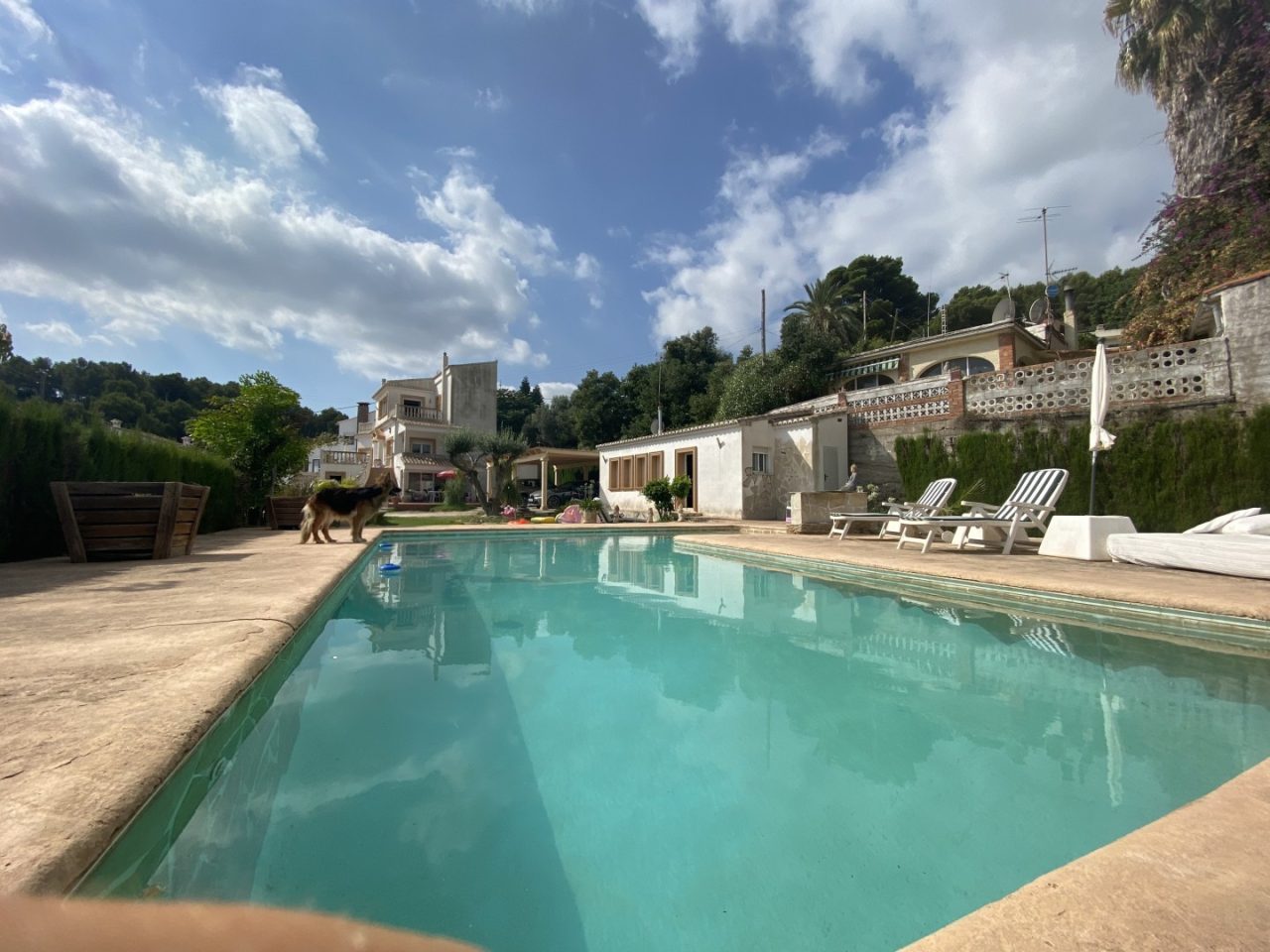 Villa in Oliva - view 1