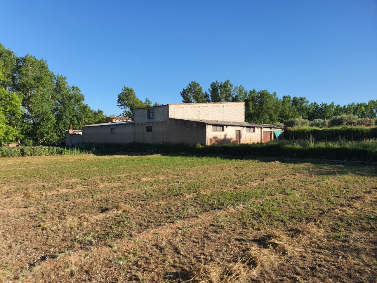 Land in Ayora - view 1