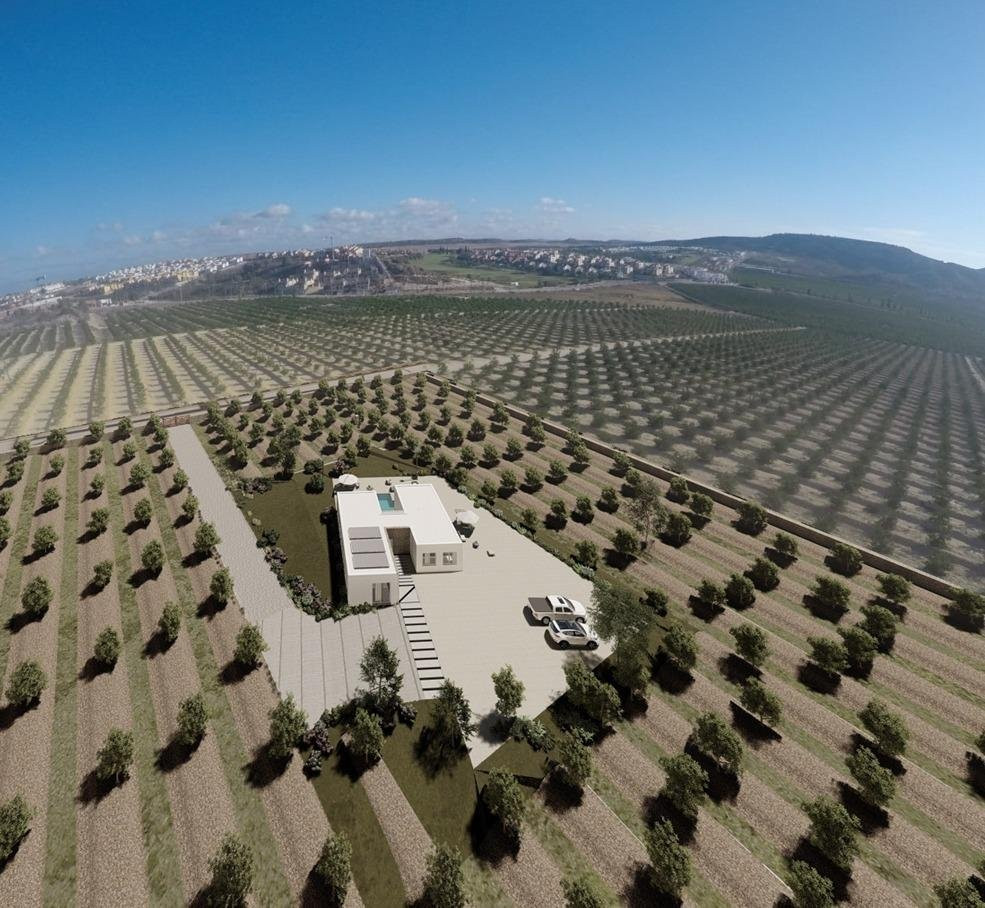 House in Algorfa - view 1