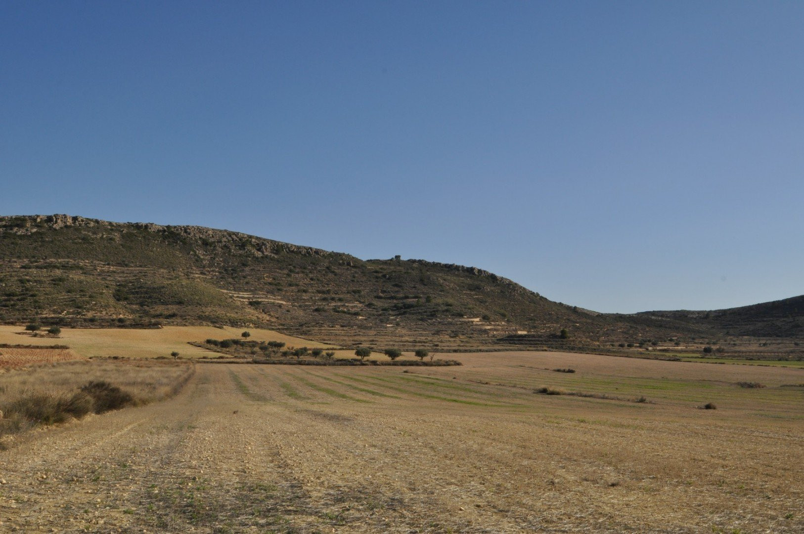 House in Torre del Rico - view 1