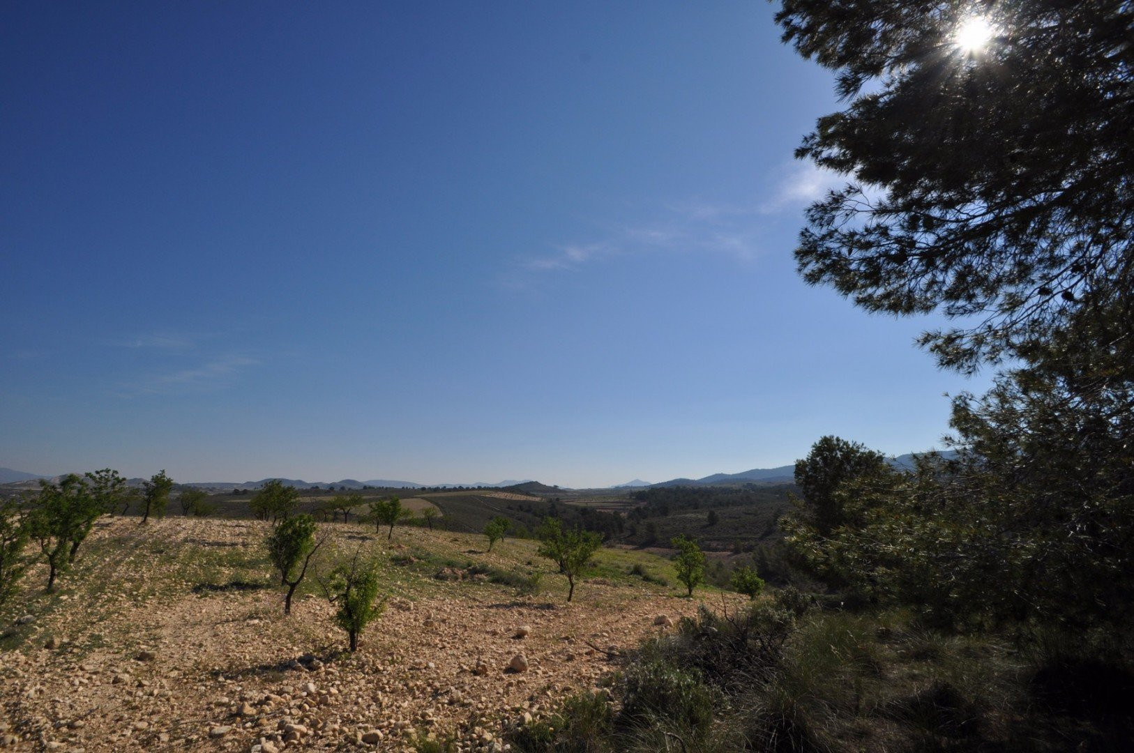 House in Santa Cruz - view 1