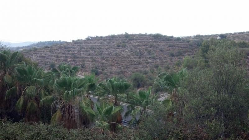 House in Gandia - view 1