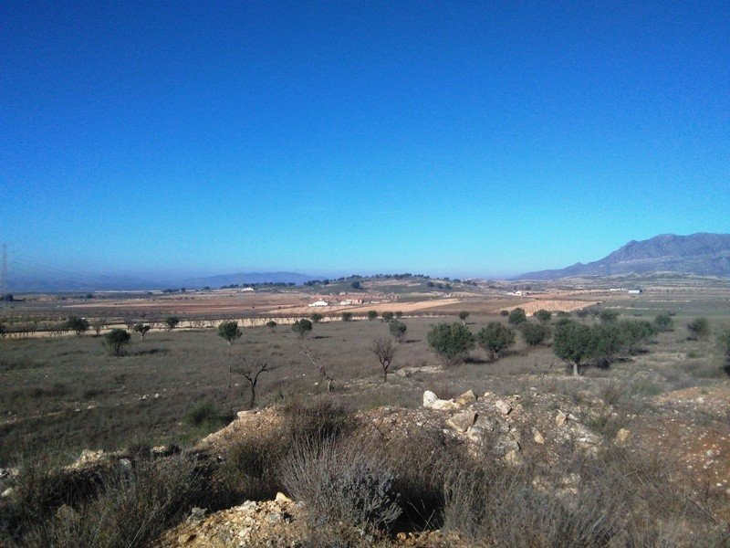 House in Torre del Rico - view 1