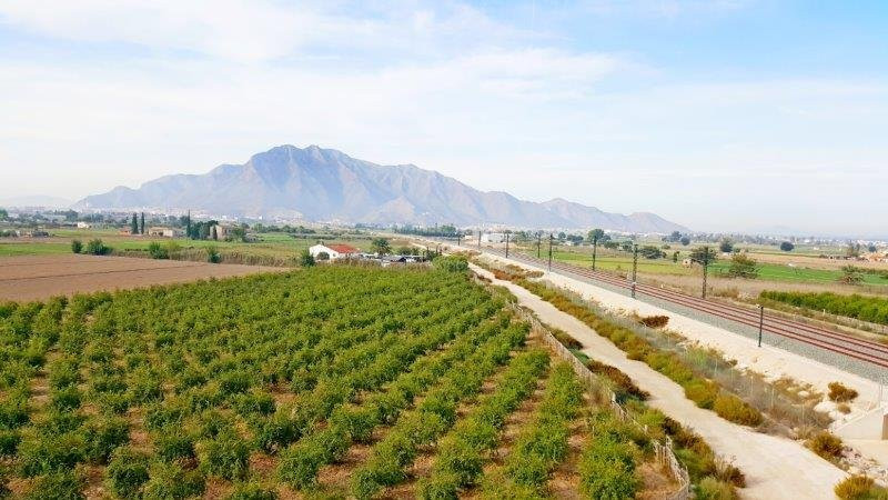 Farm, Ranch or Equestrian in Alicante - view 1