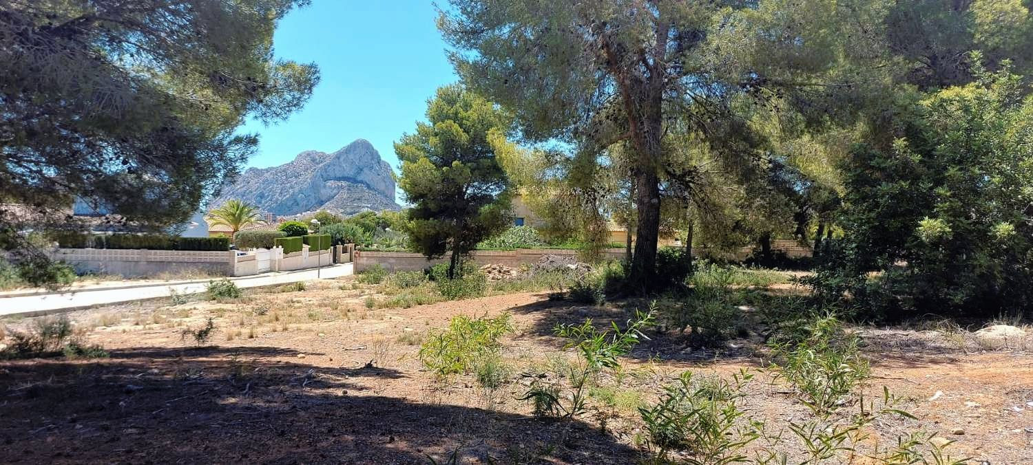 House in Calp - view 1