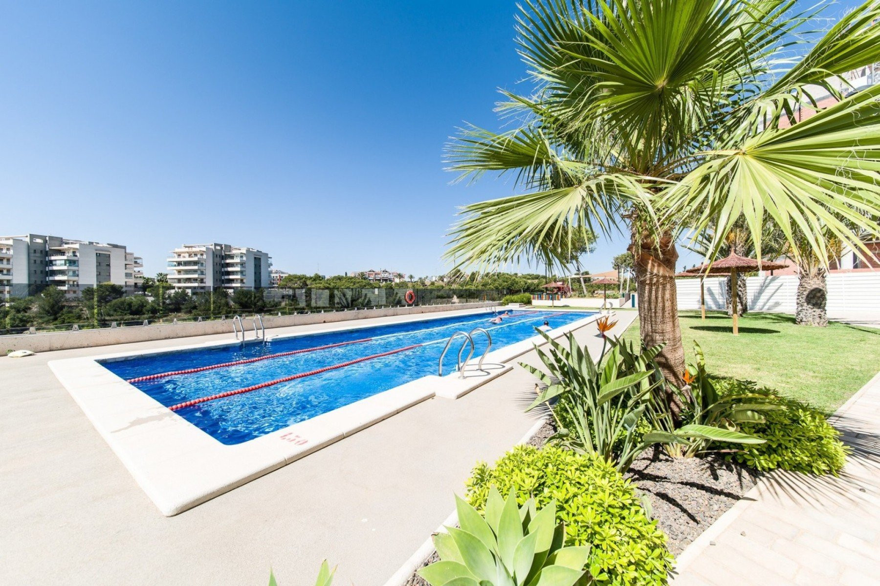Apartment in La Zenia - view 1