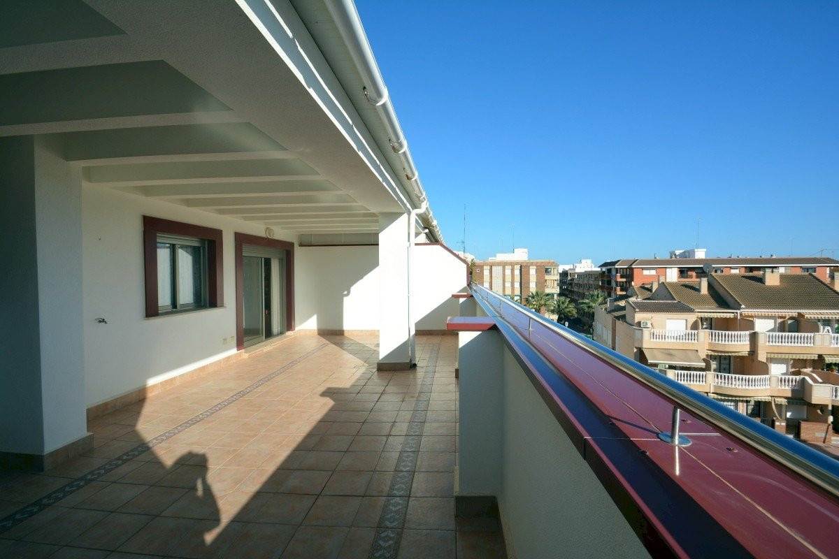 Apartment in Guardamar del Segura - view 1