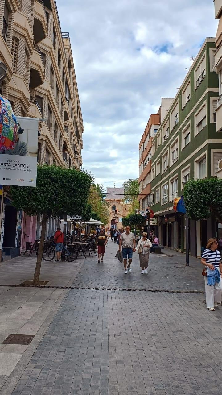 Villa in Torrevieja - view 1