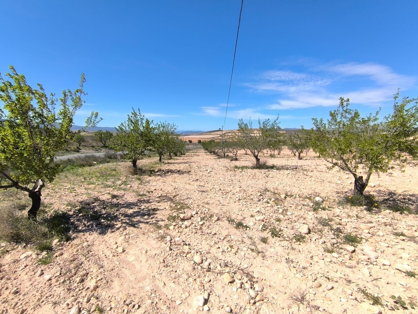 House in Pinoso - view 1