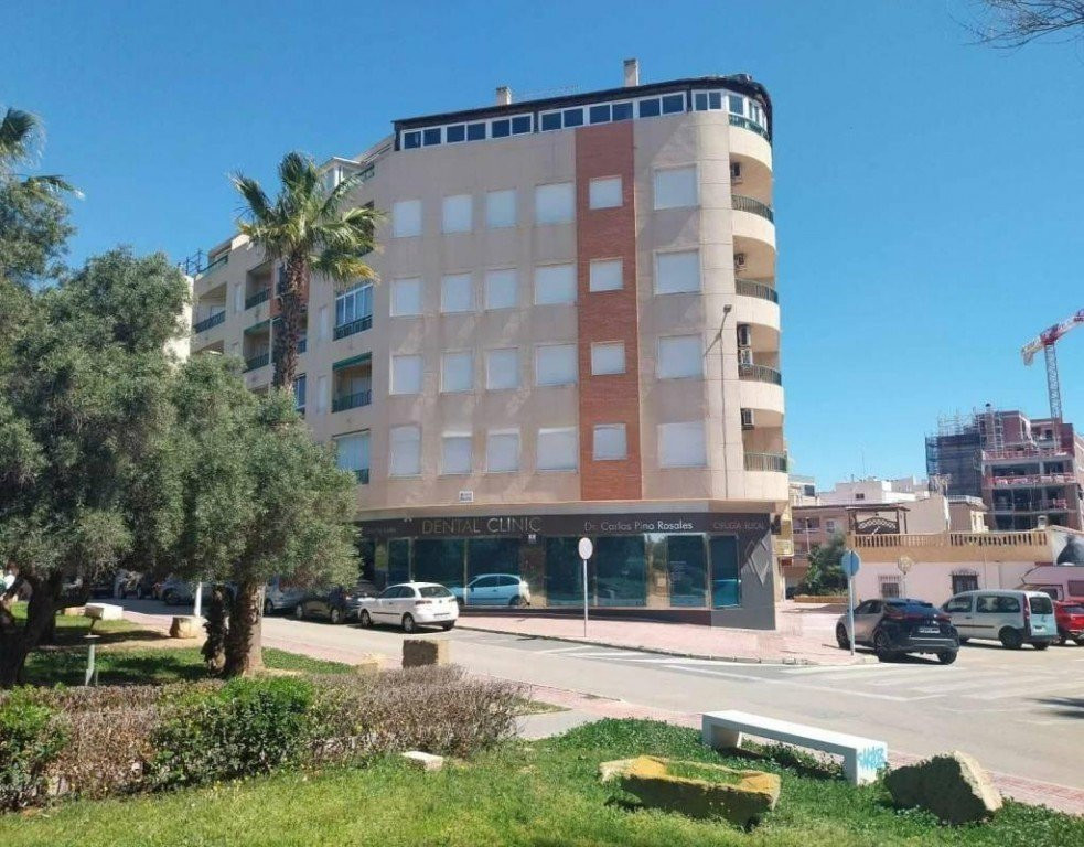 Apartment in Torrelamata - view 1