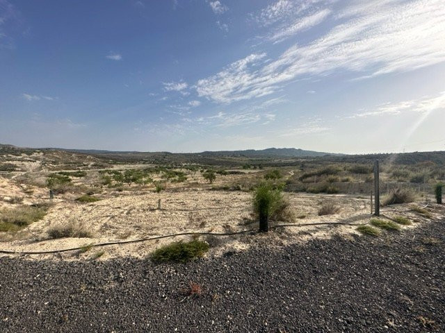 House in Los Martinez de Canadas de San Pedro - view 1