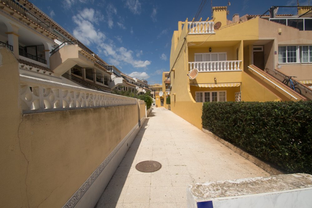 Apartment in Torrevieja - view 1
