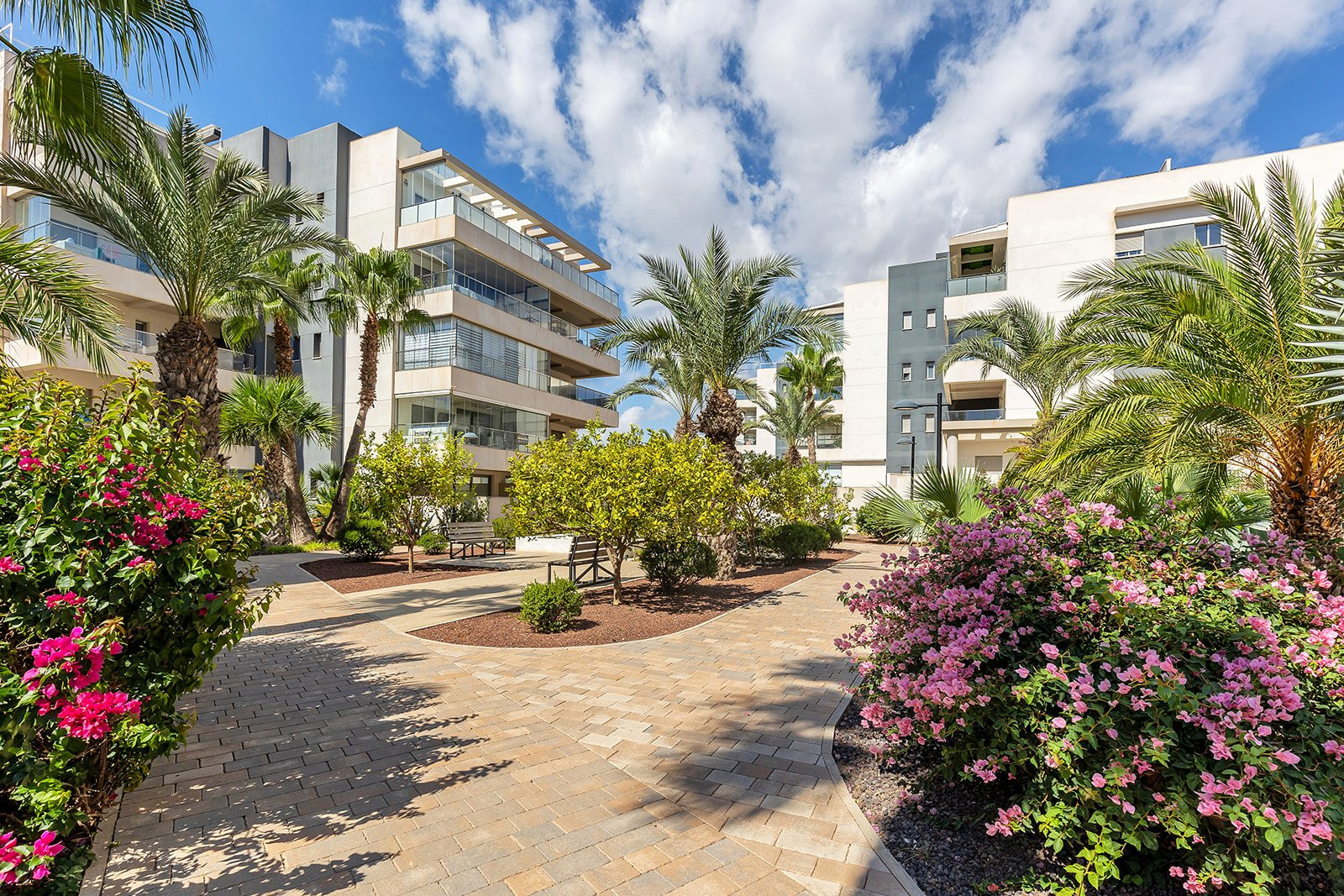 Apartment in Los Dolses - view 1