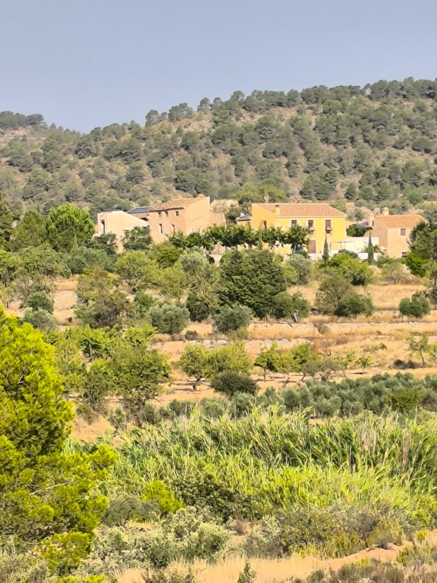House in Pinoso - view 1