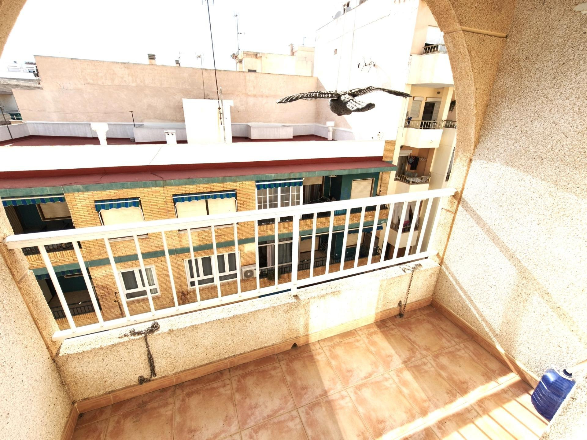 Apartment in Torrevieja - view 1