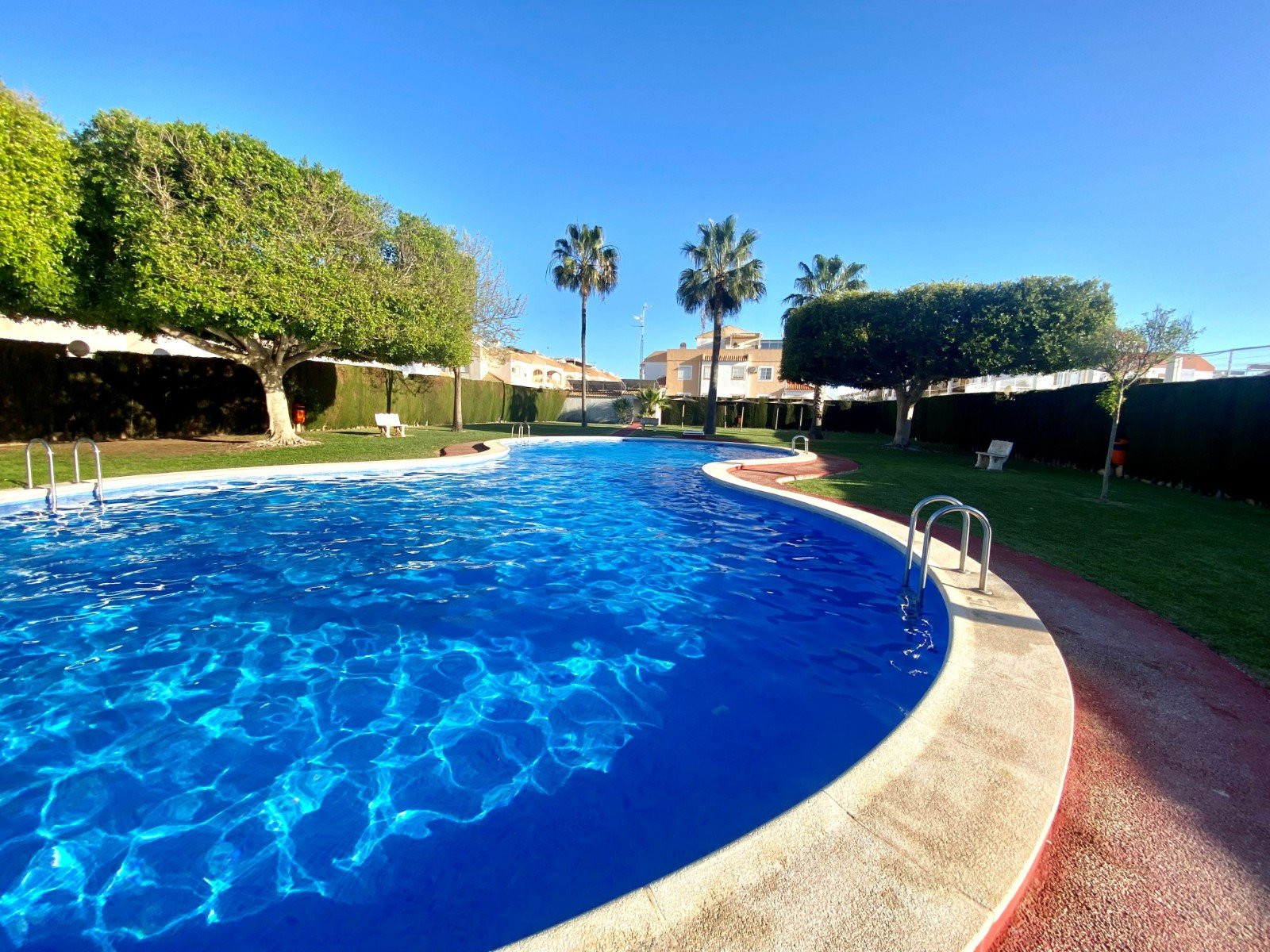 Apartment in Torrevieja - view 1
