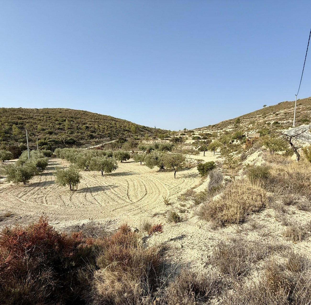 House in Torremanzanas - view 1