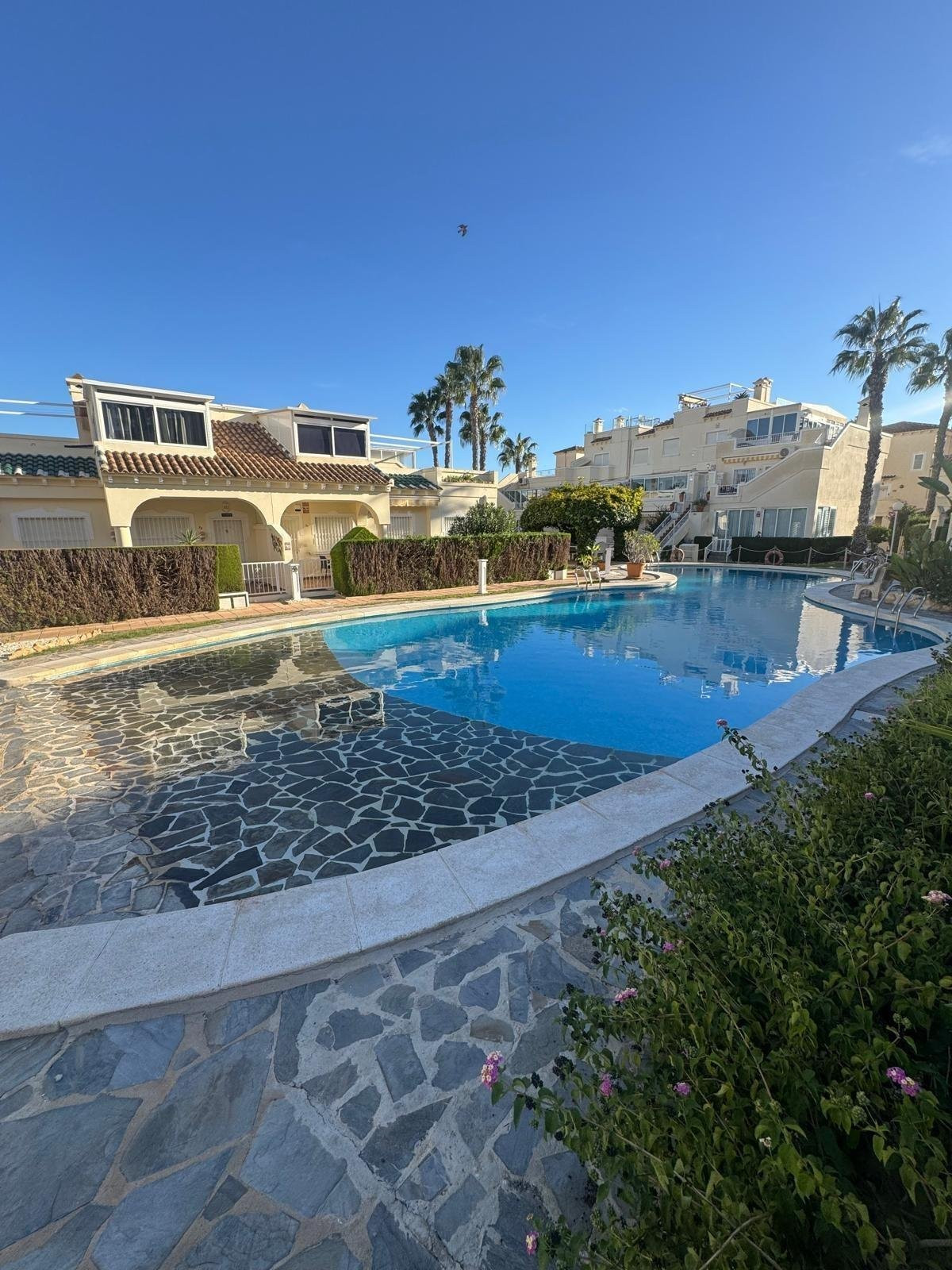 Apartment in Playa Flamenca - view 1
