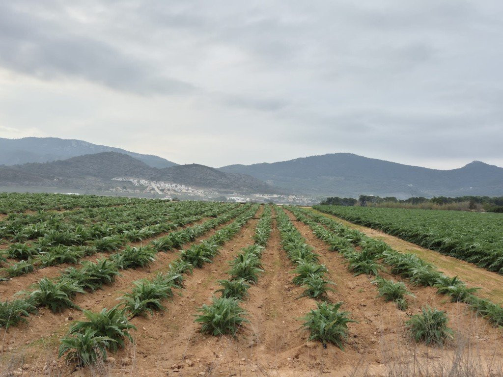 House in Hondon de las Nieves - view 1