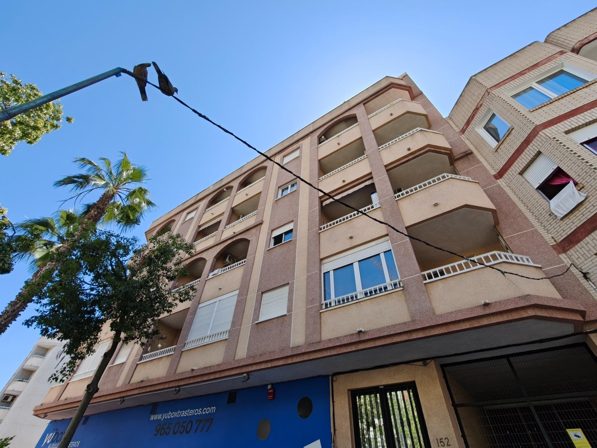 Apartment in Torrevieja - view 1