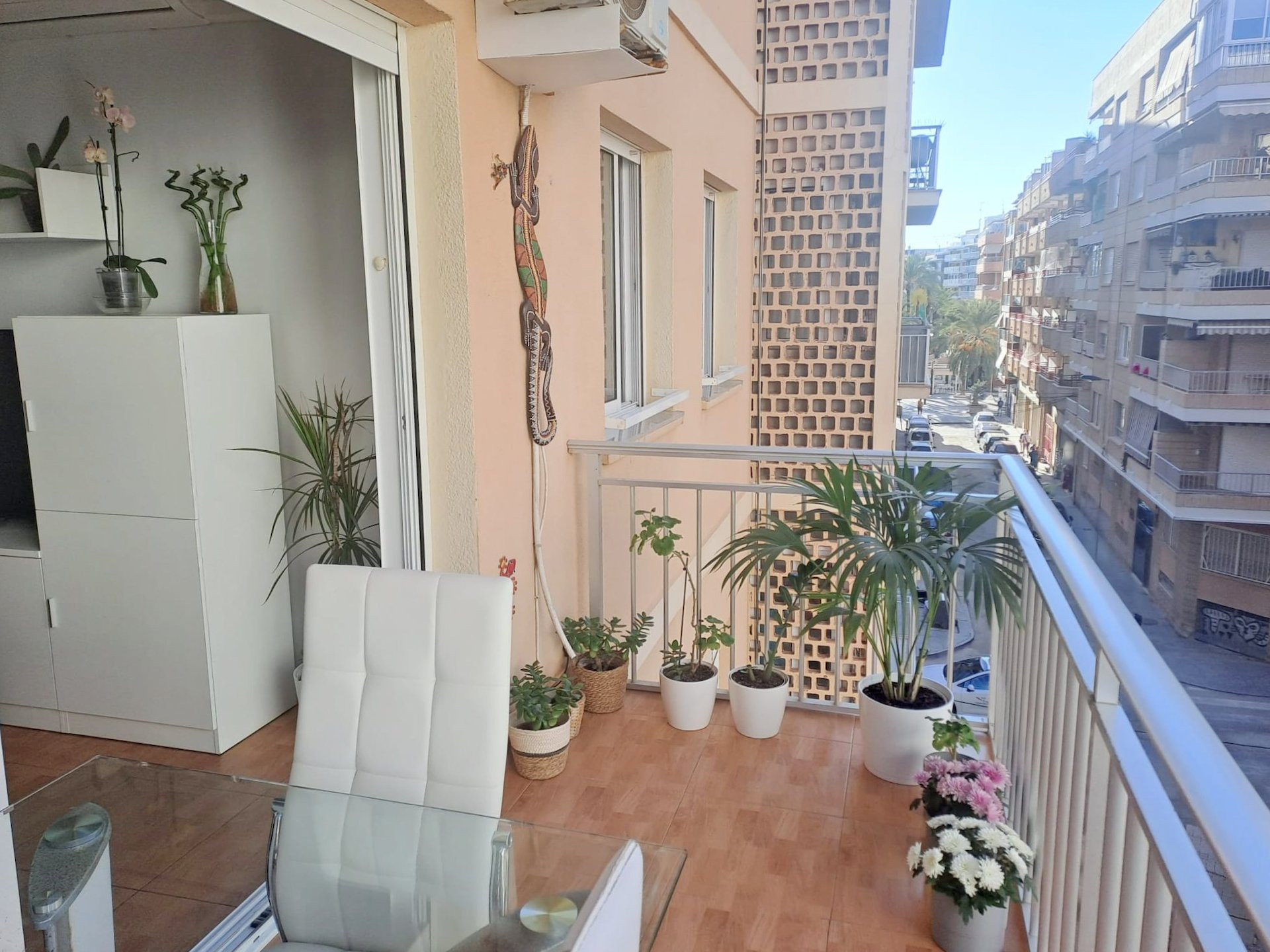 Apartment in Torrevieja - view 1
