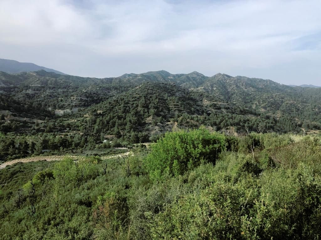 House in Lemesos - view 1