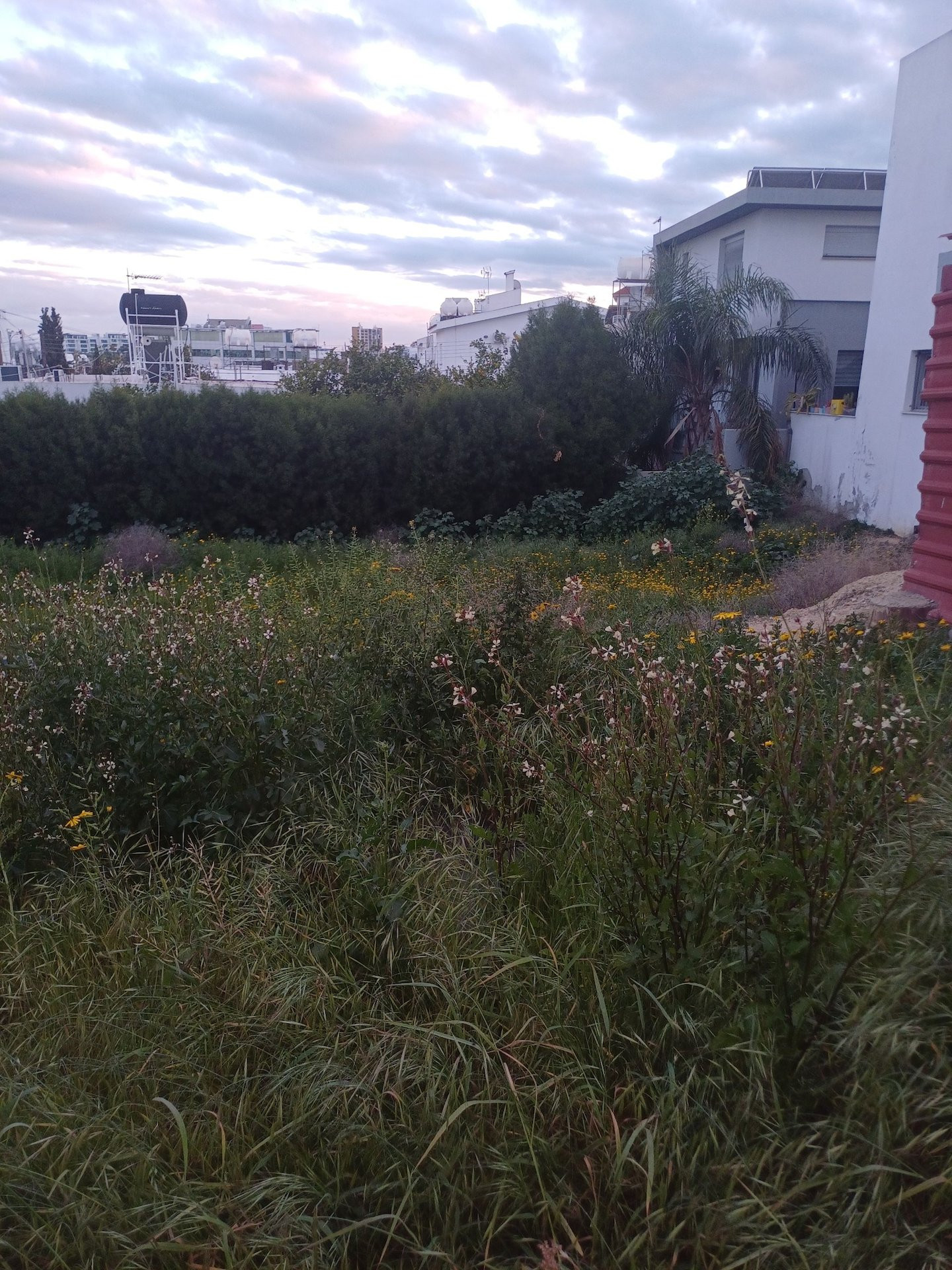 House in Aglantzia - view 1