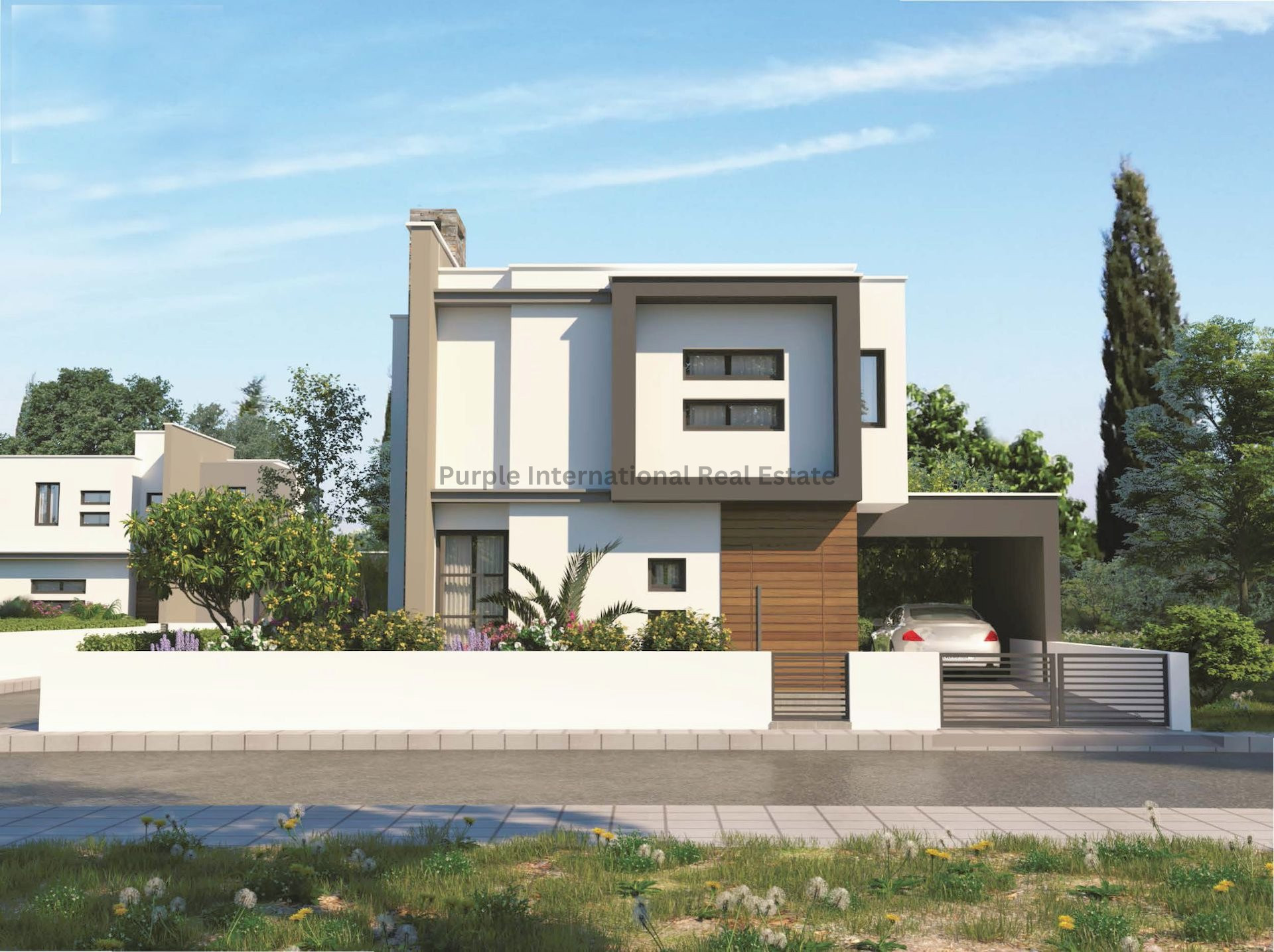 House in Frenaros - view 1