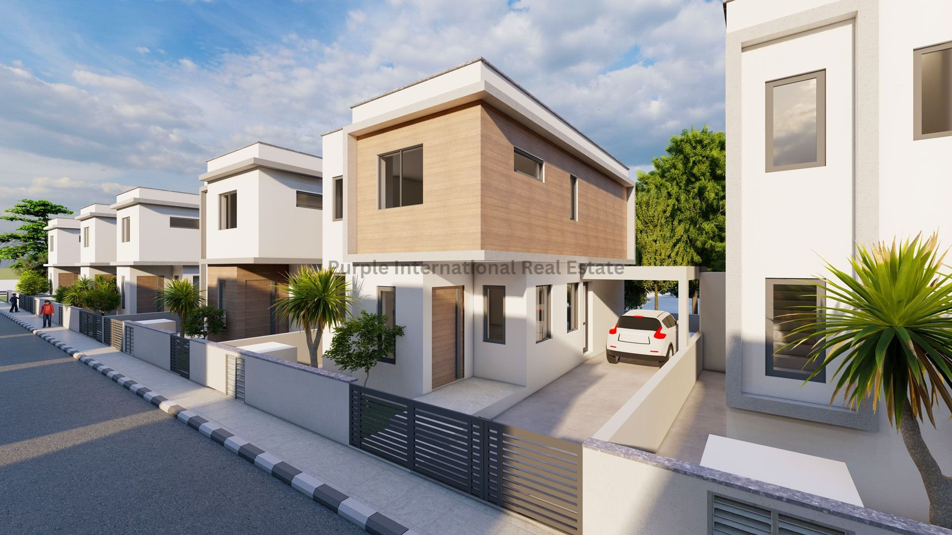 House in Liopetri - view 1