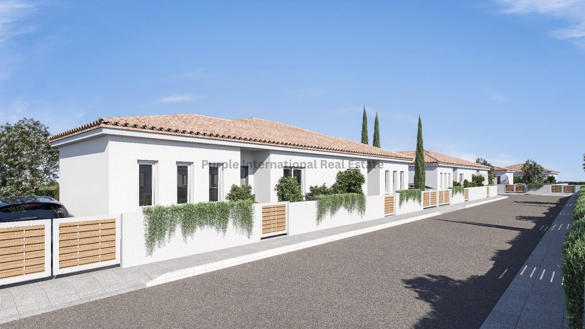House in Frenaros - view 1