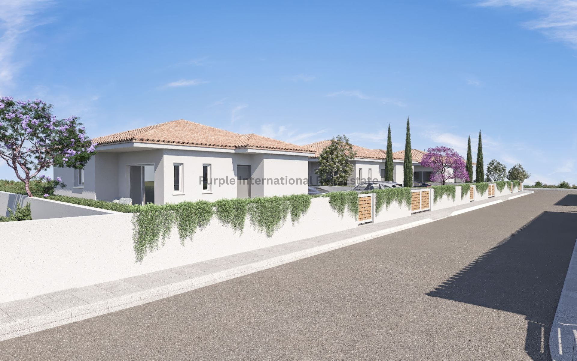 House in Frenaros - view 1