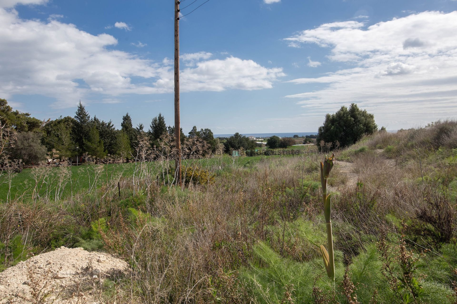 House in Maroni - view 1