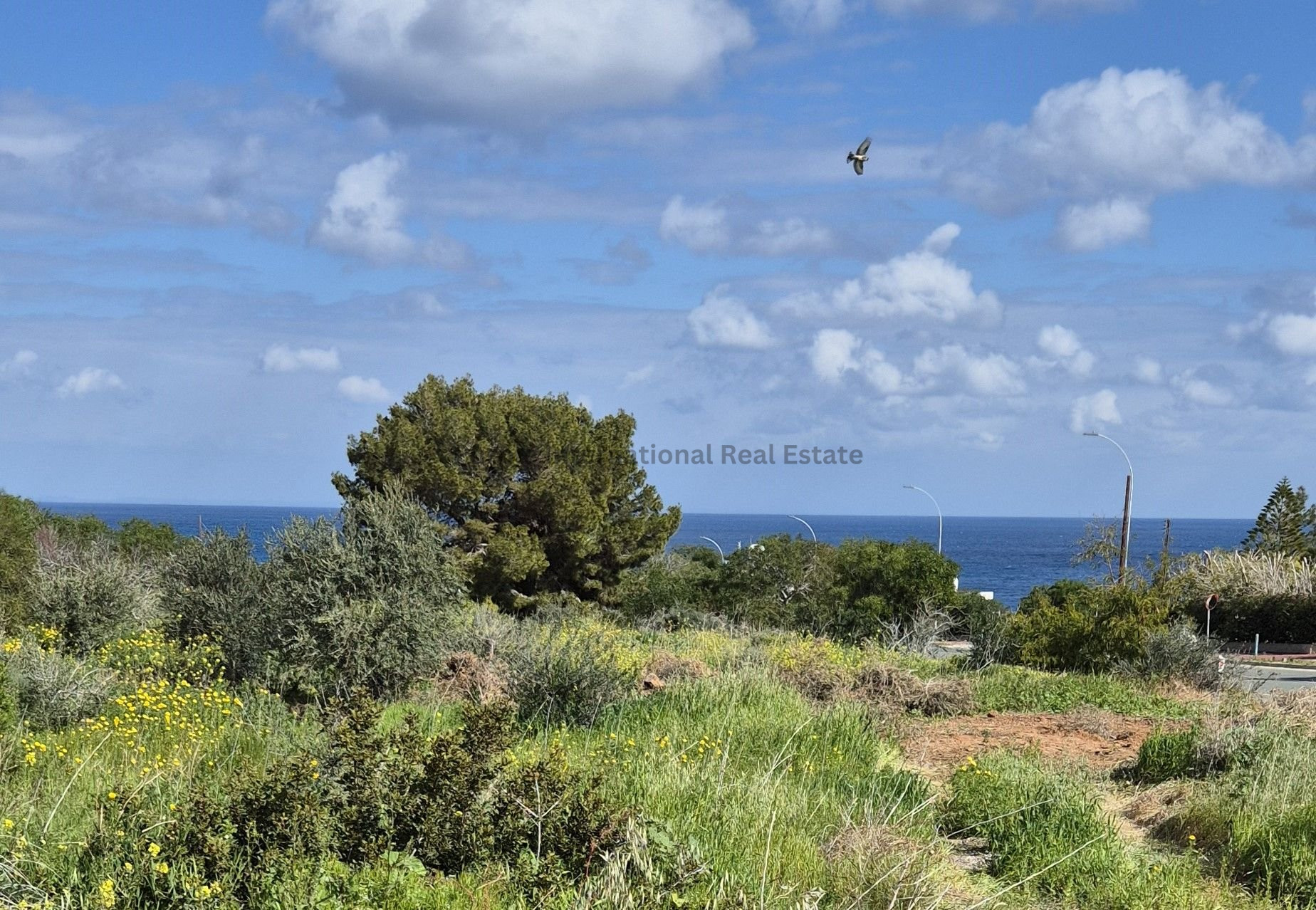 House in Ayia Napa - view 1