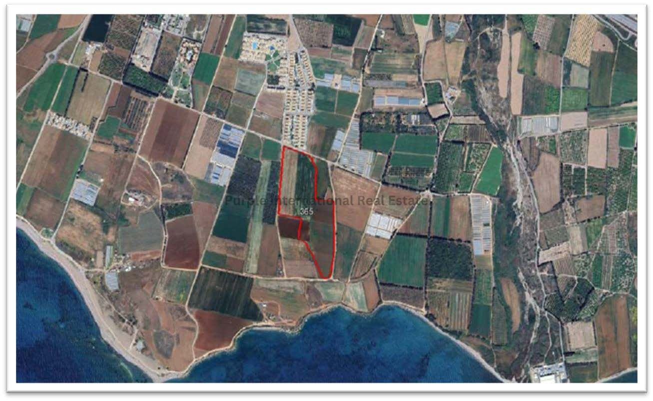 House in Mandria - view 1