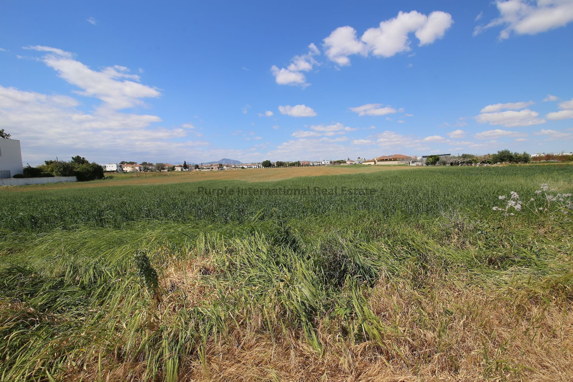 House in Perivolia - view 1