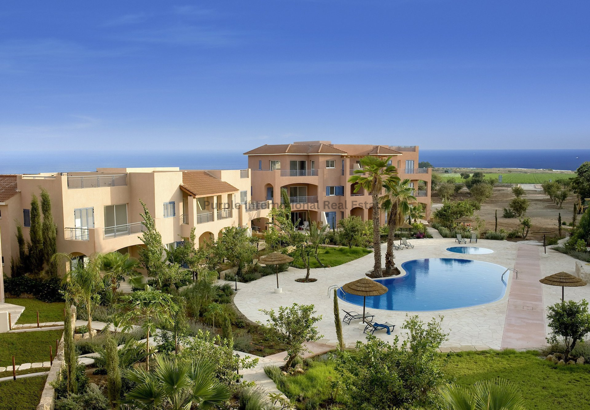 House in Mandria - view 1