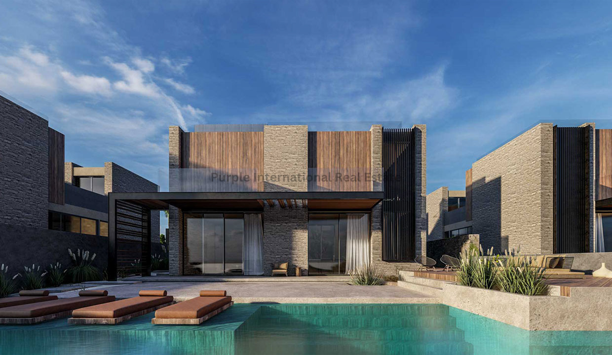 House in Paralimni - view 1