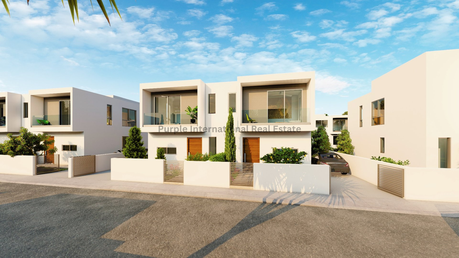 House in Mandria - view 1