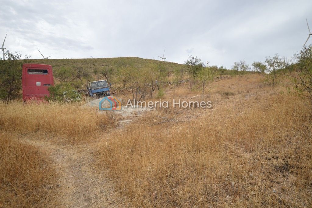 Land in Seron de Najima - view 1