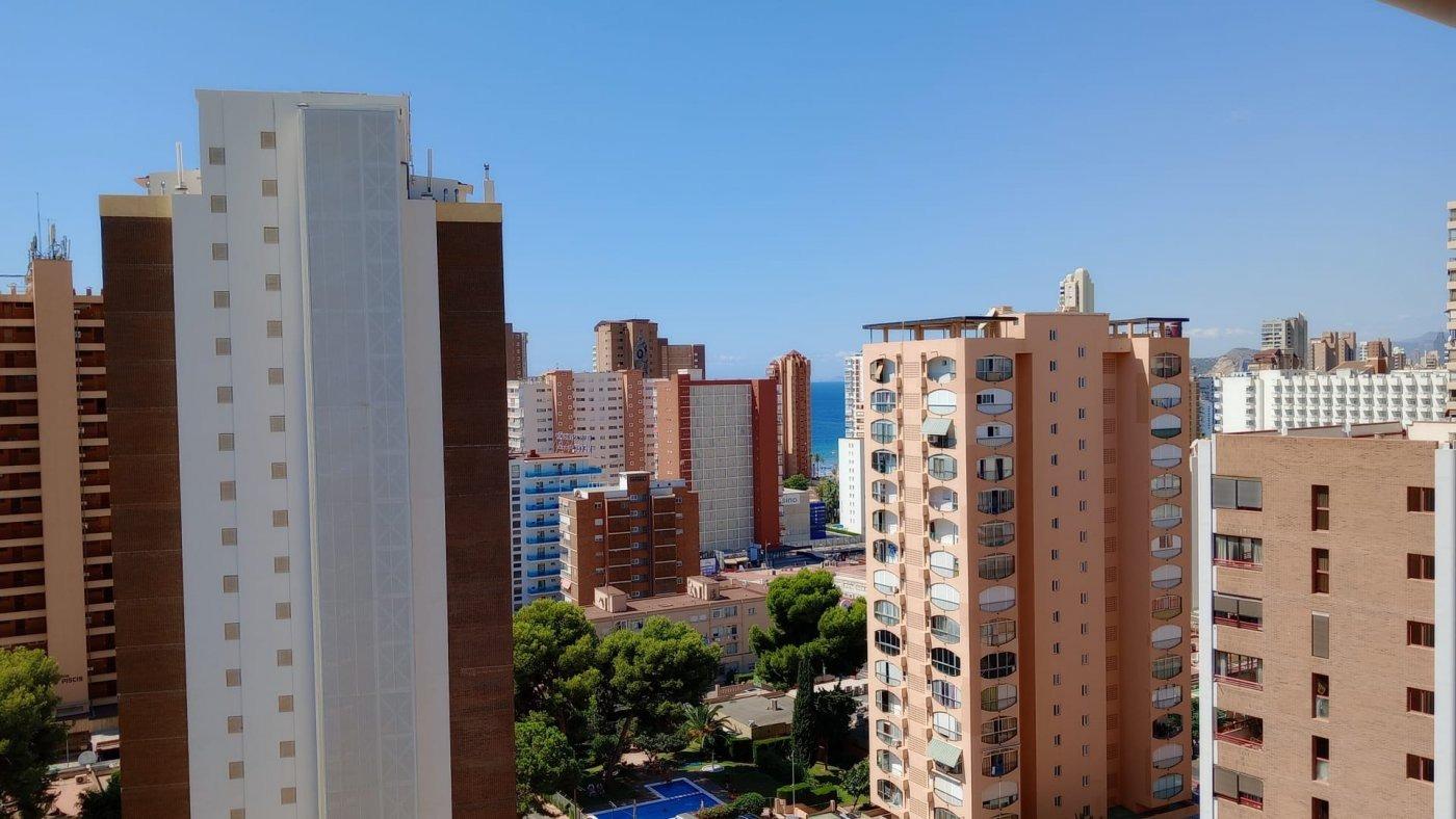 Apartment in Benidorm - view 1