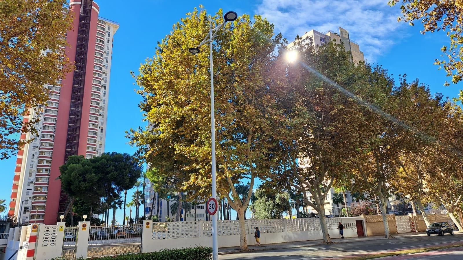 Apartment in Benidorm - view 1