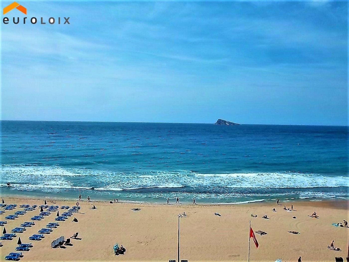 Apartment in Benidorm - view 1